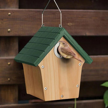 Wooden Wren Bird House with Predator Guard