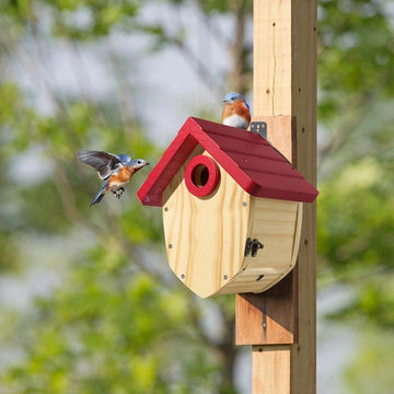 Pine Cone Inspired Bird House