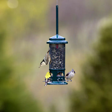 Standard Squirrel-proof Bird Feeder