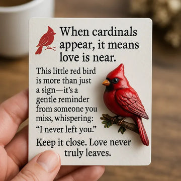 Pocket Cardinal Gift – A Little Red Reminder of Love