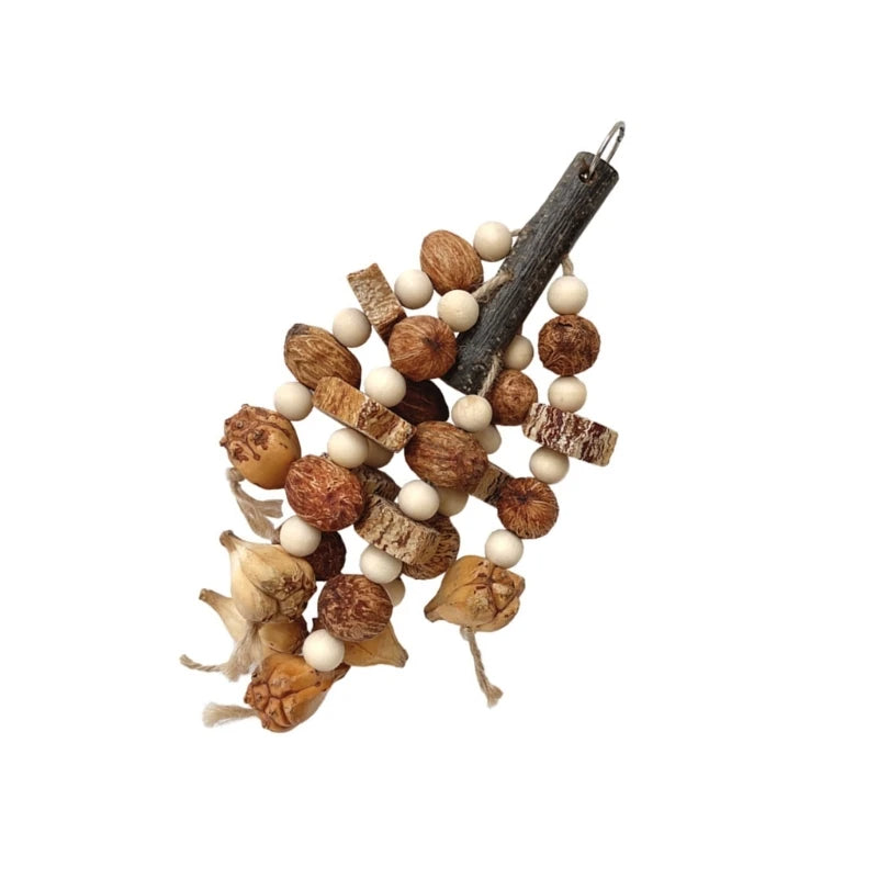 Small Animal Chew Toys for Parrots