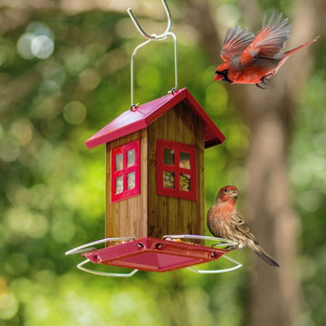 Small Bird House Feeder