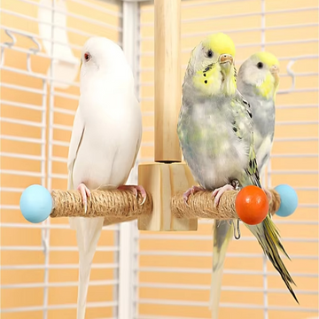 Bird Perch Chew Toy