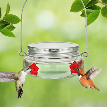 Hummingbird Feeder - Mason Jar Glass Feeder with 8 Flower-Shaped Ports, Wide Mouth