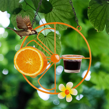 Metal Oriole Feeder with Fruit Tray - Detachable Cup for Garden & Patio