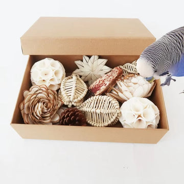 Non-Toxic Bird Chewing Toys