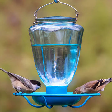 Blue Glass Bird Bath - Hanging Water Dispenser for Small Birds