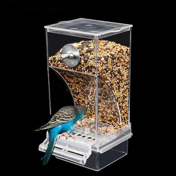 Automatic Bird Feeder