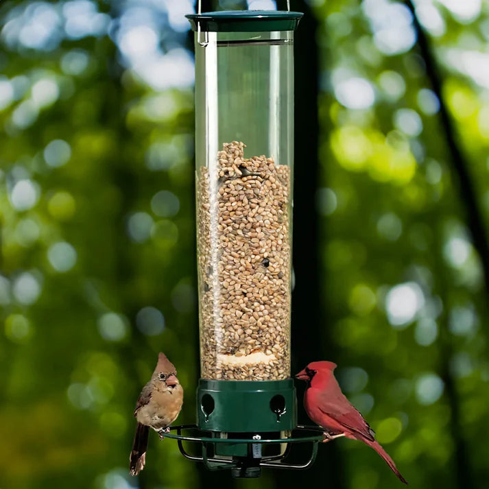 Squirrel-Proof Bird Feeder Plus