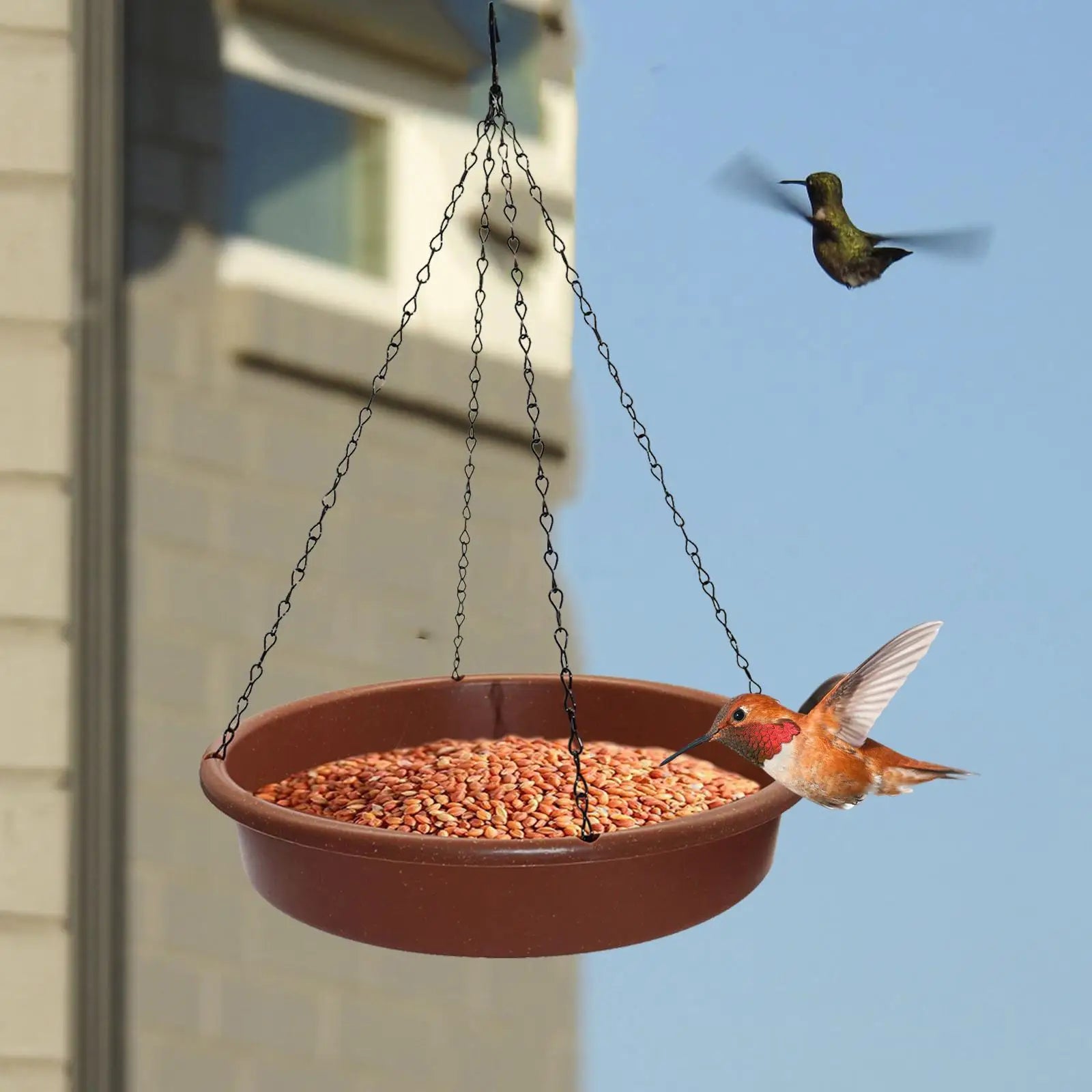Outdoor Hanging Bird Bath - 12" Lightweight PP Tray with Rustproof Chains