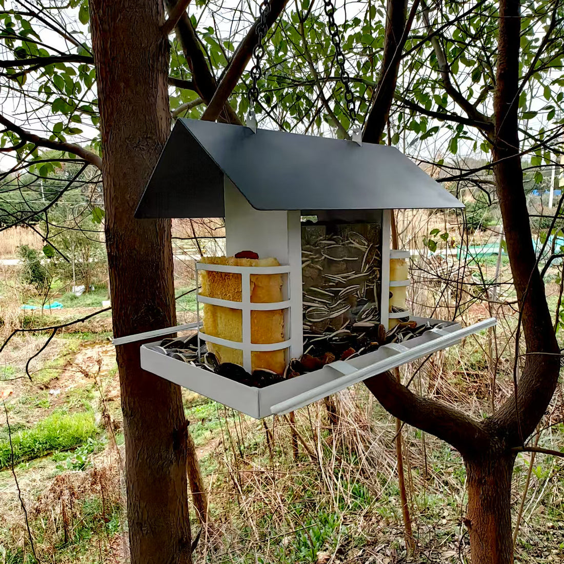 Rust-Resistant Hanging Bird Feeder for Wild Birds