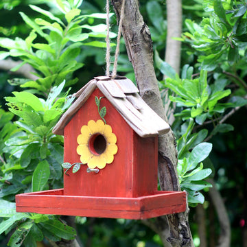 Handmade Wooden Bird Feeder and Bluebird House - Outdoor Hanging Garden Decor
