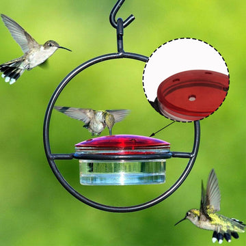 Round Hanging Hummingbird Feeder - Outdoor Use, Ant & Bee Proof