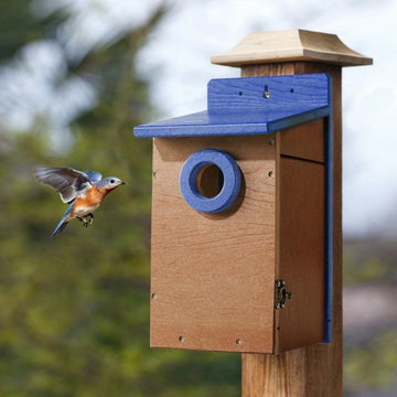 Recycled Plastic Bluebird House