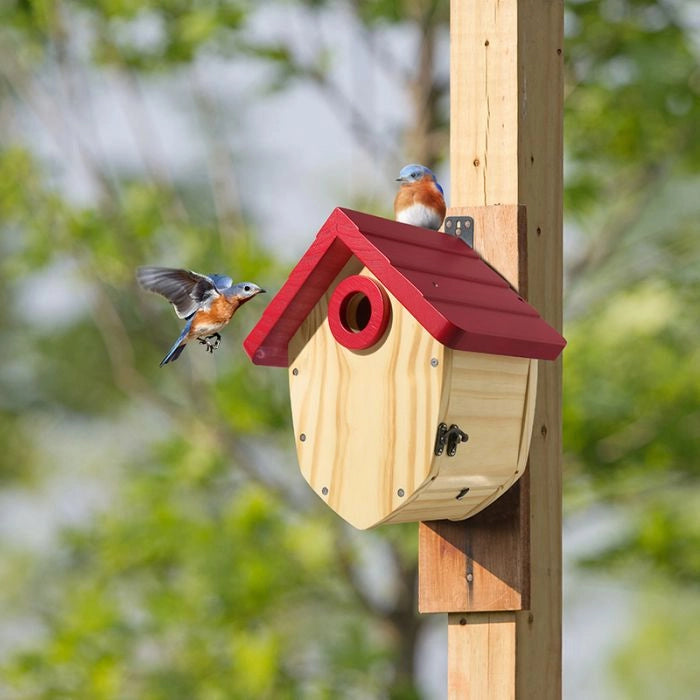 Pine Cone Inspired Bird House