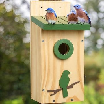 Classic Bird House with Prdator Guard