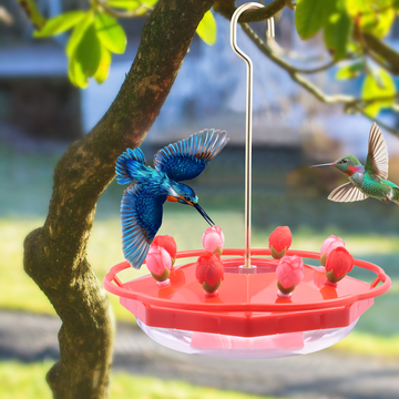 Hummingbird Feeder - 5X Faster Nectar Flow