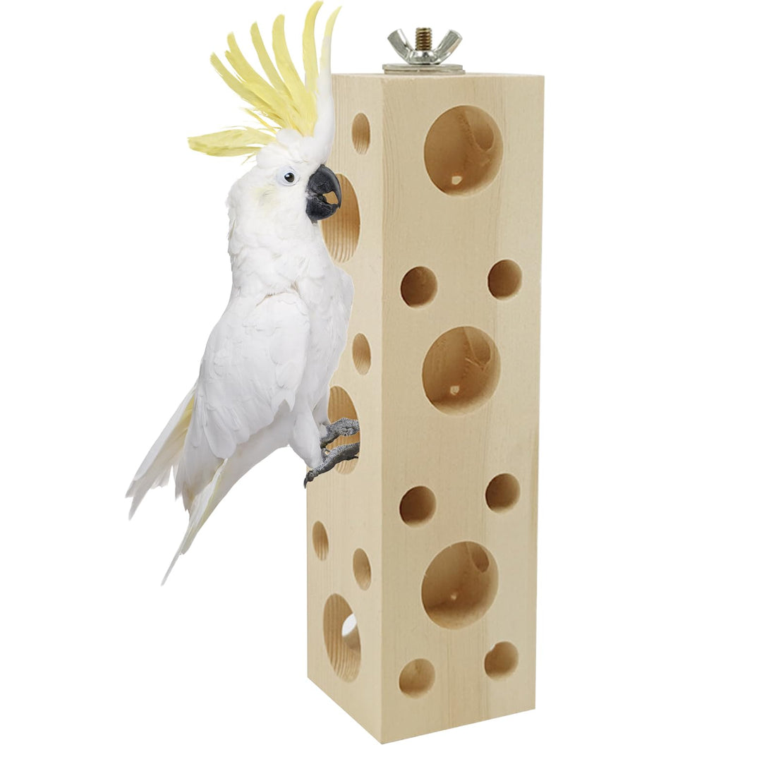 Bird Wooden Block Chewing & Foraging Training Toys