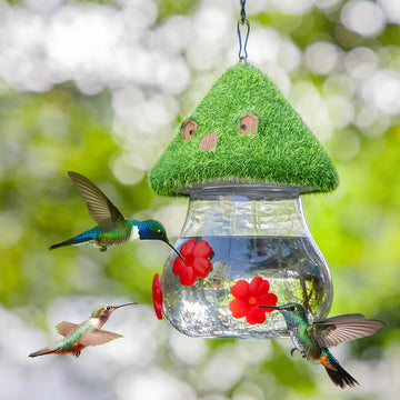 Cute Mushroom Shape Bird Water Feeder