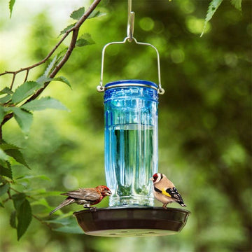 Premium Glass Bird Bath Waterer for Outdoors