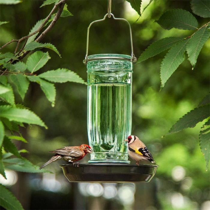 Premium Glass Bird Bath Waterer for Outdoors