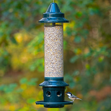 Squirrel-Proof Bird Feeder Plus