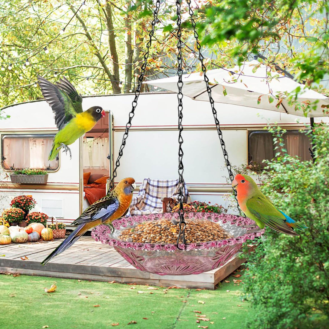Acrylic Window Bird Feeder - Portable Outdoor Hanging Decor for Garden