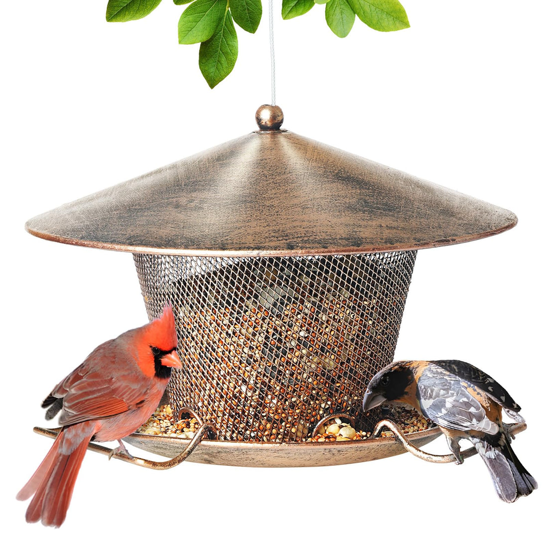 All-Metal Squirrel-Proof Bird Feeder - 3 LB Capacity with Oversized Weatherproof Roof