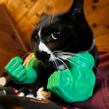 Cat Muscle Arms – Funny 3D Printed Hulk Arms For Cats