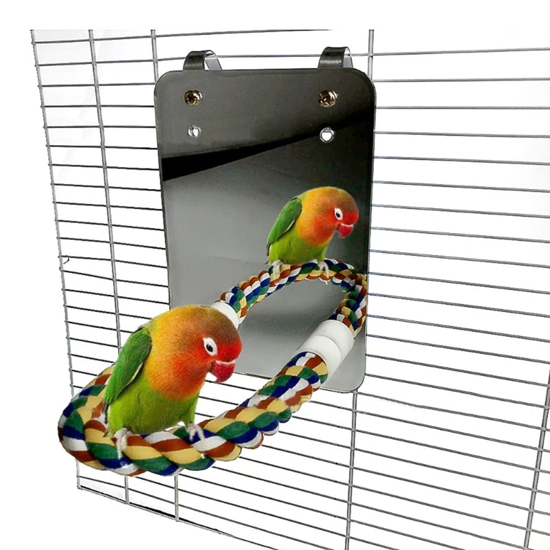 Macaw Interactive Play Toy with Mirror