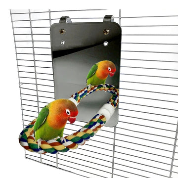 Macaw Interactive Play Toy with Mirror