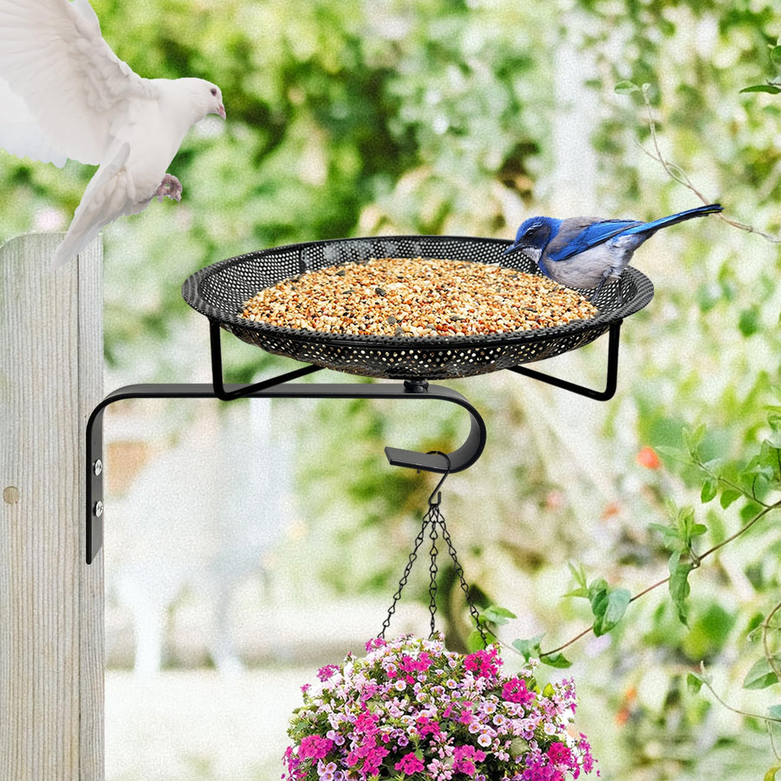 Premium Balcony Bird Feeding Tray - Decorative Garden & Backyard Bird Feeder