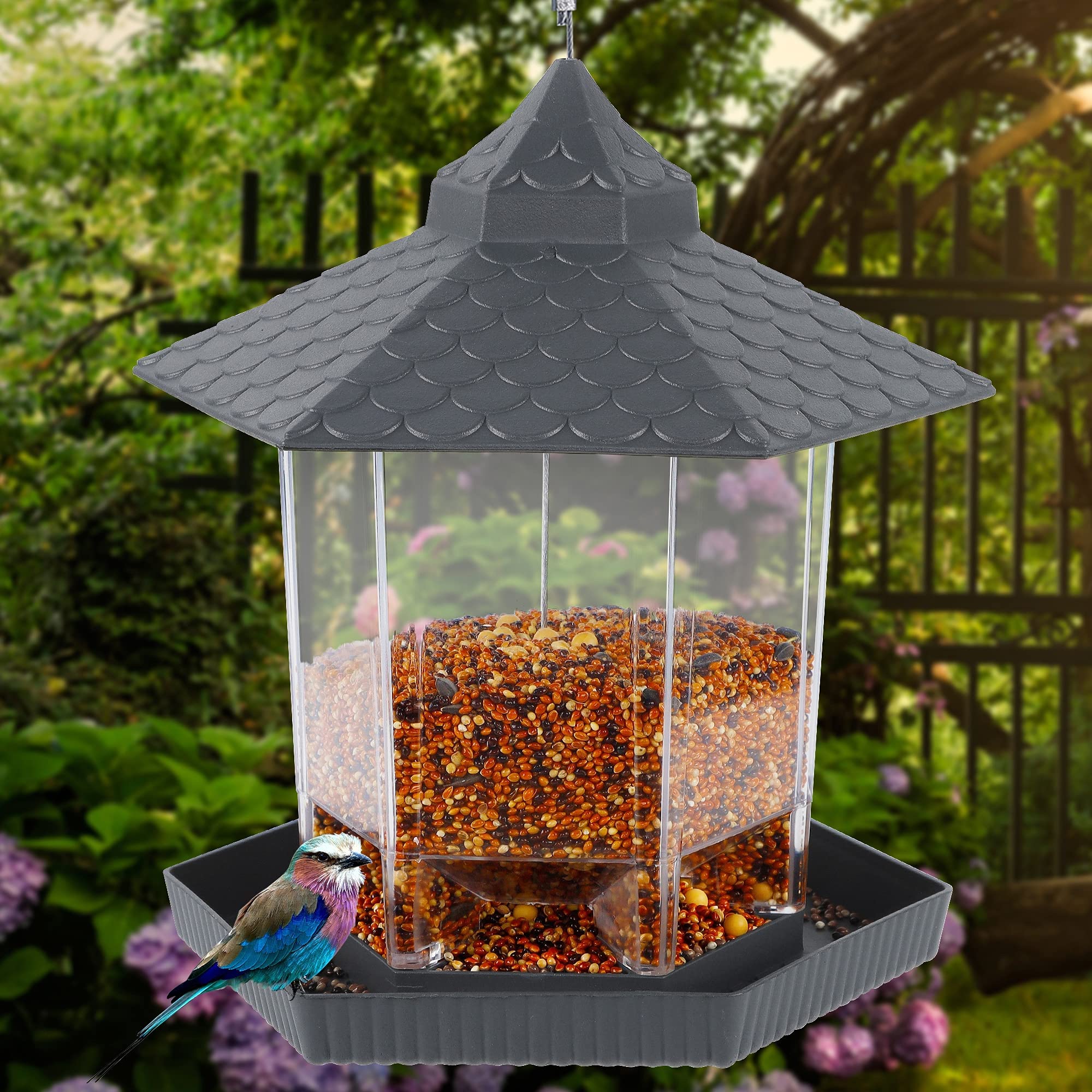 Grey Squirrel-Proof Hanging Bird Feeder for Garden & Yard