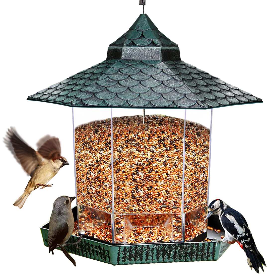 Green Squirrel-Proof Hanging Bird Feeder for Garden & Yard