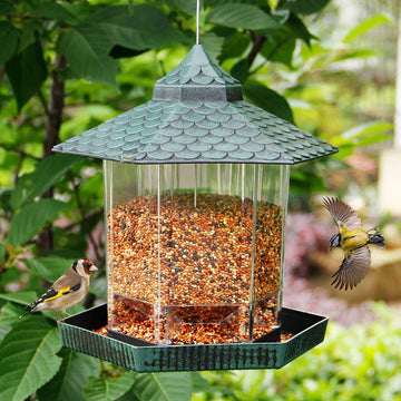 Green Squirrel-Proof Hanging Bird Feeder for Garden & Yard