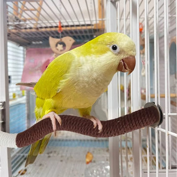 Two Pieces of Bird Chewing Toys and Platform Cage Toys