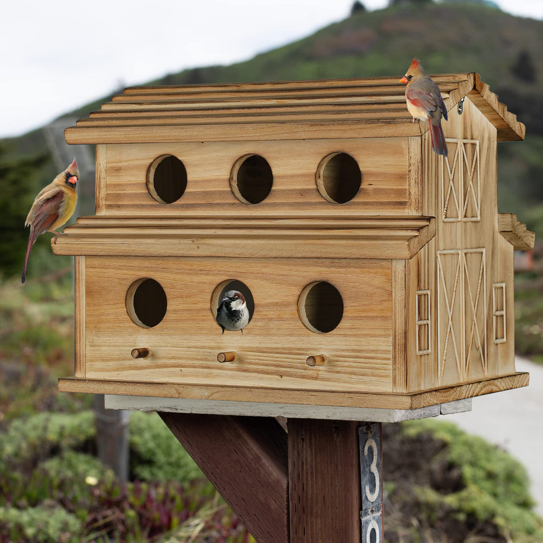 Chamber Outdoor Birdhouse - Houses 6 Bird Families