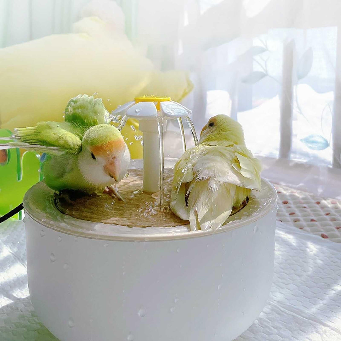 Automatic Bird Bath – Self-Filling & Circulating Water for Pet Birds