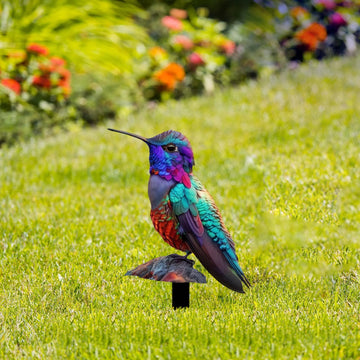 Bird Lover's Home & Garden Decor - Unique Bird-Themed Ornaments