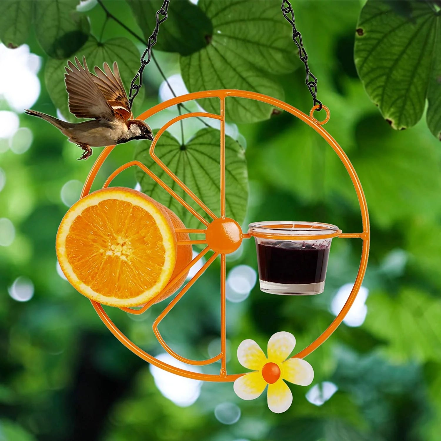 Metal Oriole Feeder with Fruit Tray - Detachable Cup for Garden & Patio