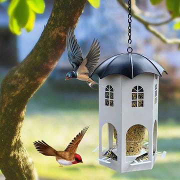 Window Mount Bird Feeder - Large Capacity Weatherproof Outdoor Feeder, Easy Fill & Clean