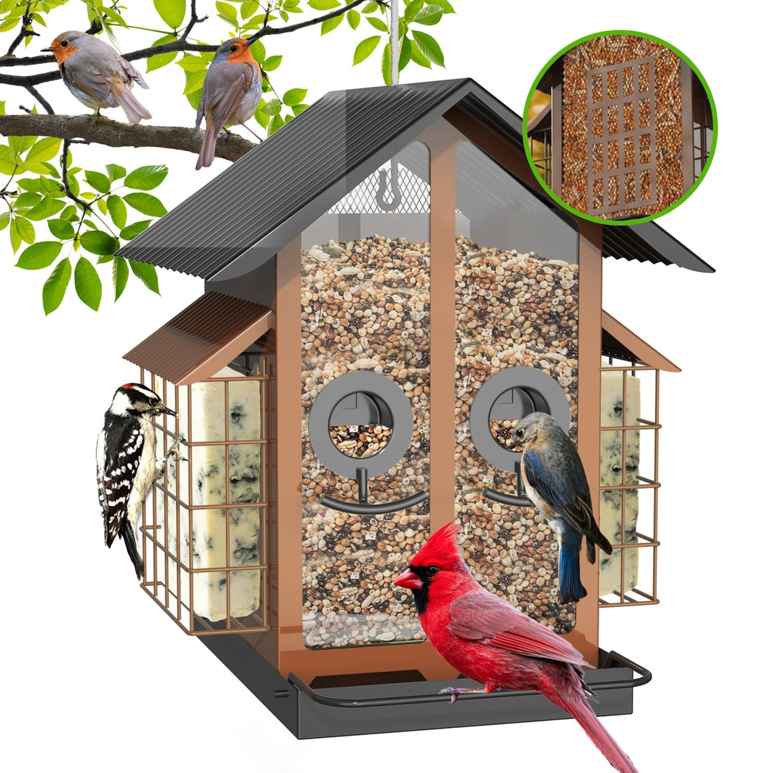 2-in-1 Mixed Seed & Suet Bird Feeder