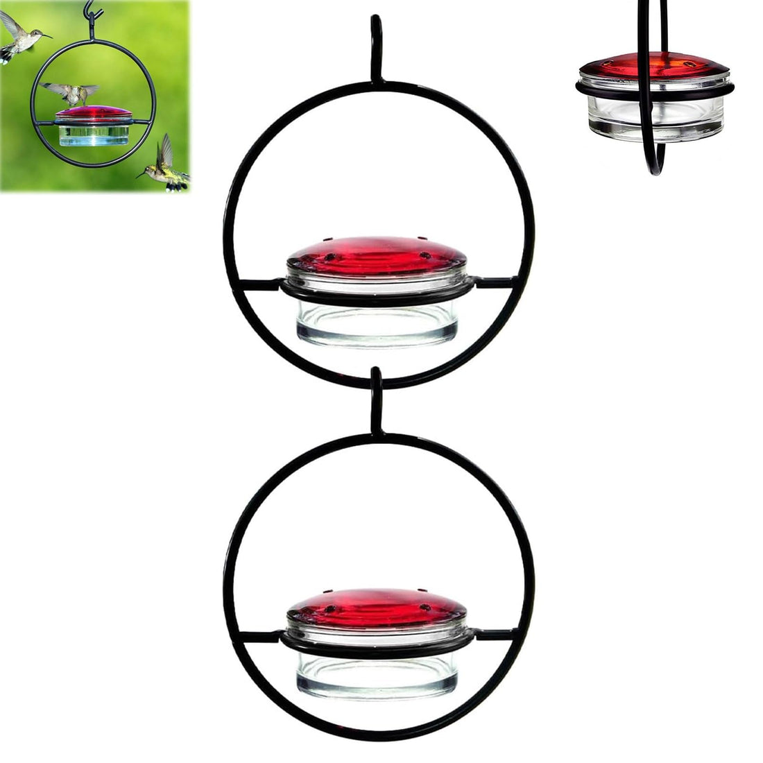 Round Hanging Hummingbird Feeder - Outdoor Use, Ant & Bee Proof