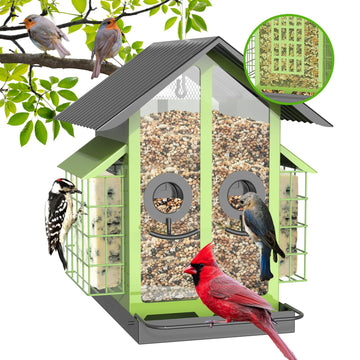 2-in-1 Mixed Seed & Suet Bird Feeder