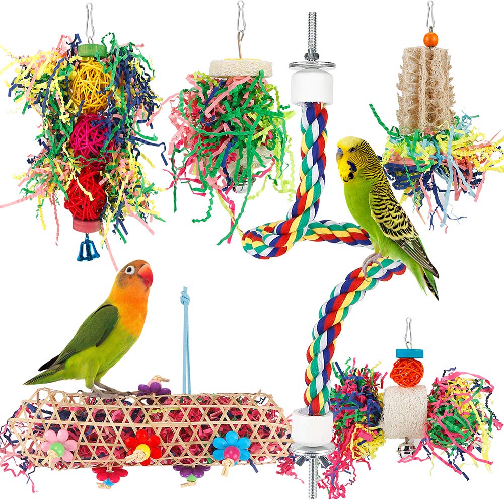 Bird Chewing & Foraging Toys