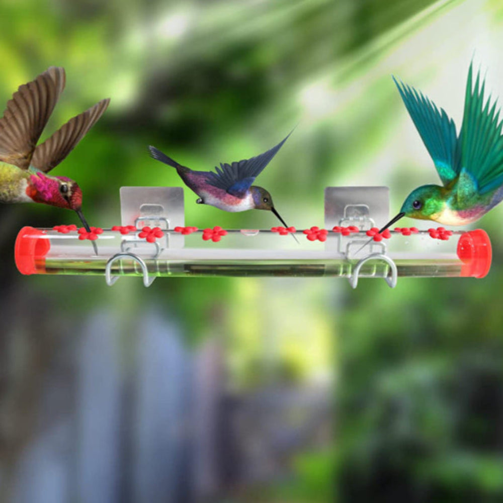 Window Hummingbird Feeder