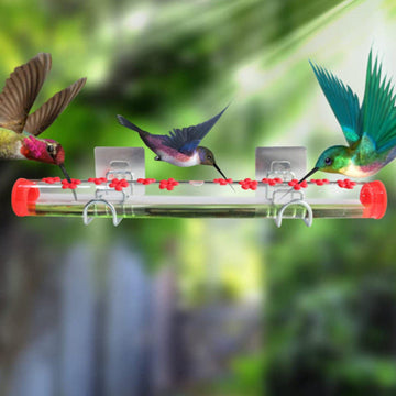Window Hummingbird Feeder