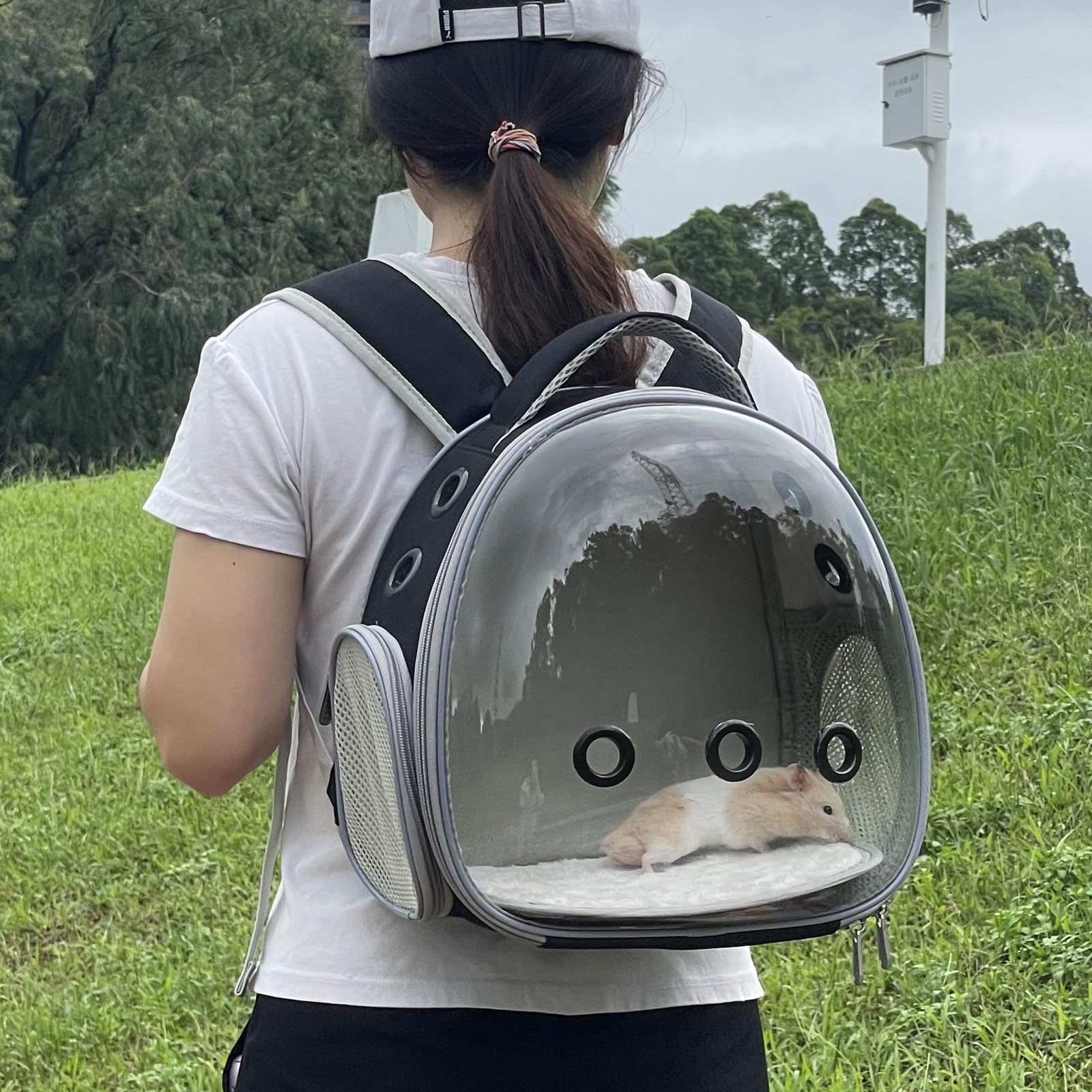 Portable Pet Travel Backpack Carrier - Breathable for Birds, Cats & Small Dogs
