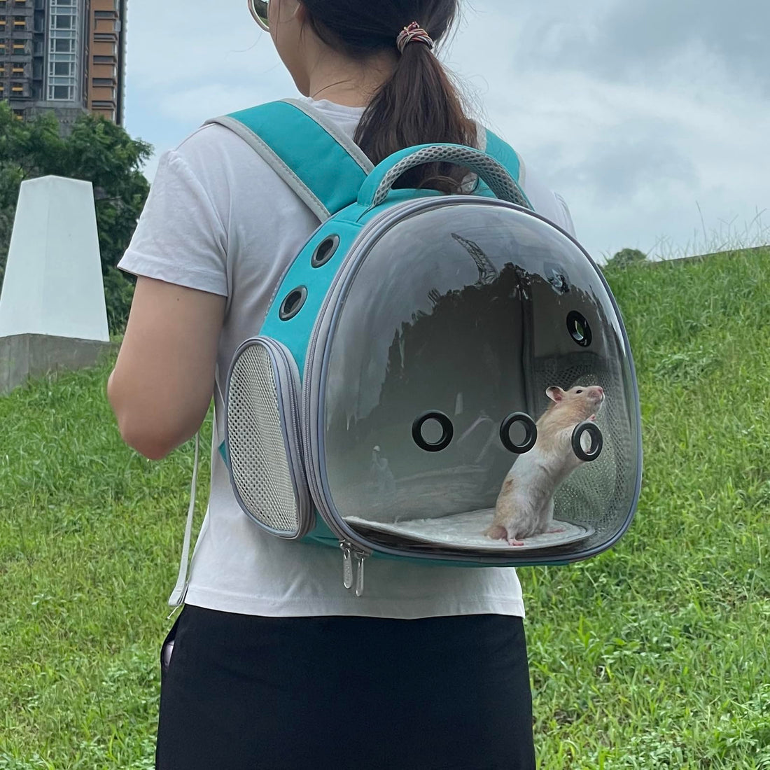 Portable Pet Travel Backpack Carrier - Breathable for Birds, Cats & Small Dogs