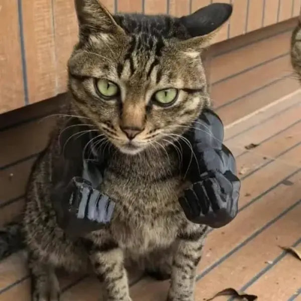 Cat Muscle Arms – Funny 3D Printed Hulk Arms For Cats